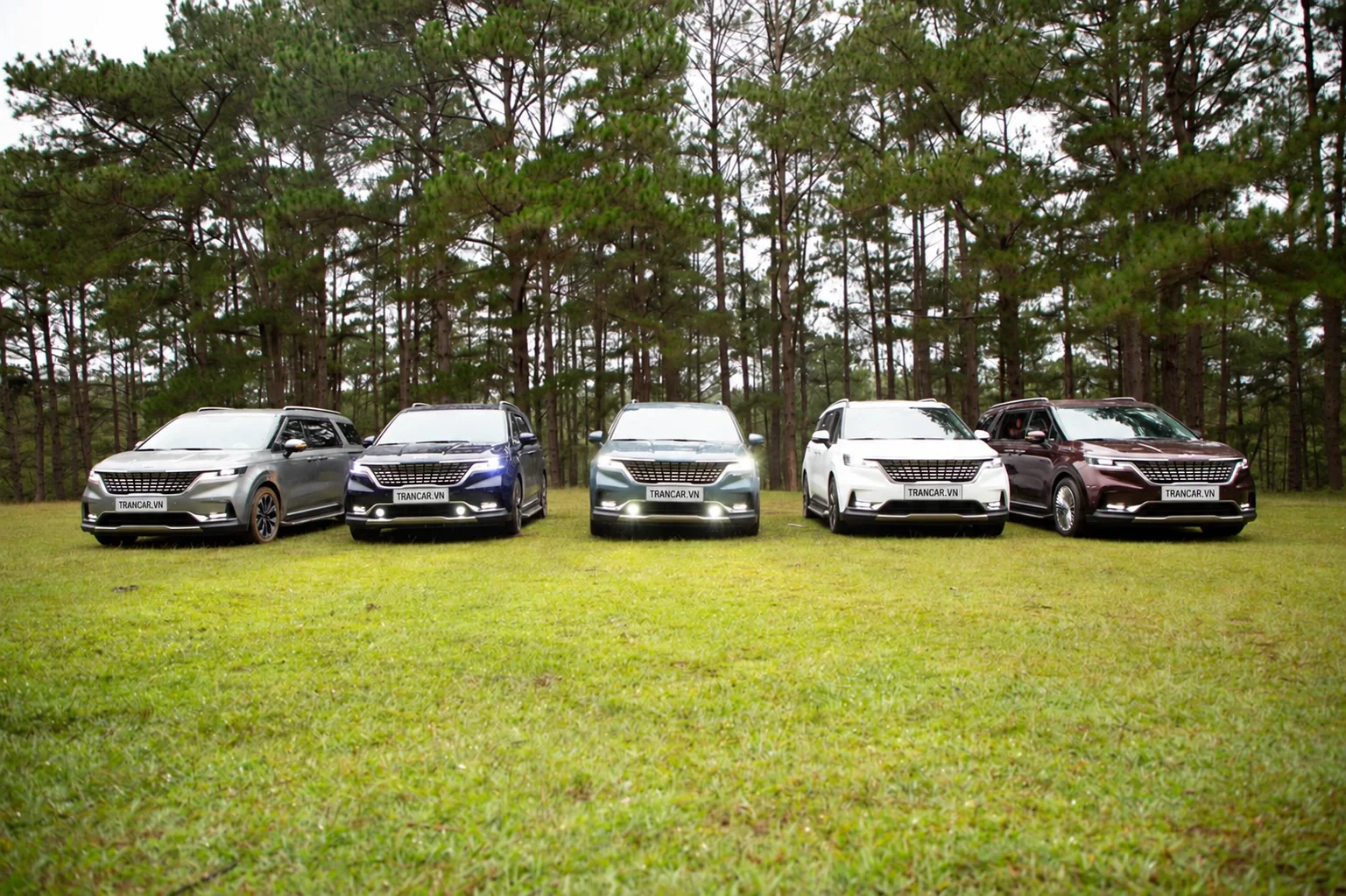 Dàn xe Kia Carnival chụp tại Việt Nam